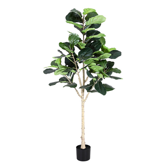 180cm Premium Faux Fiddle Tree