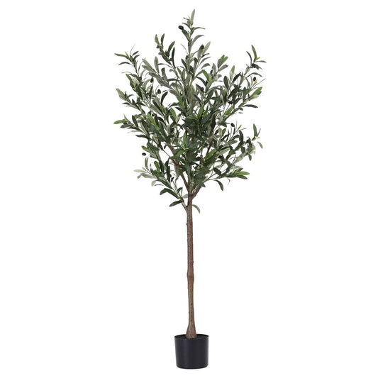 155cm Premium Faux Olive Tree