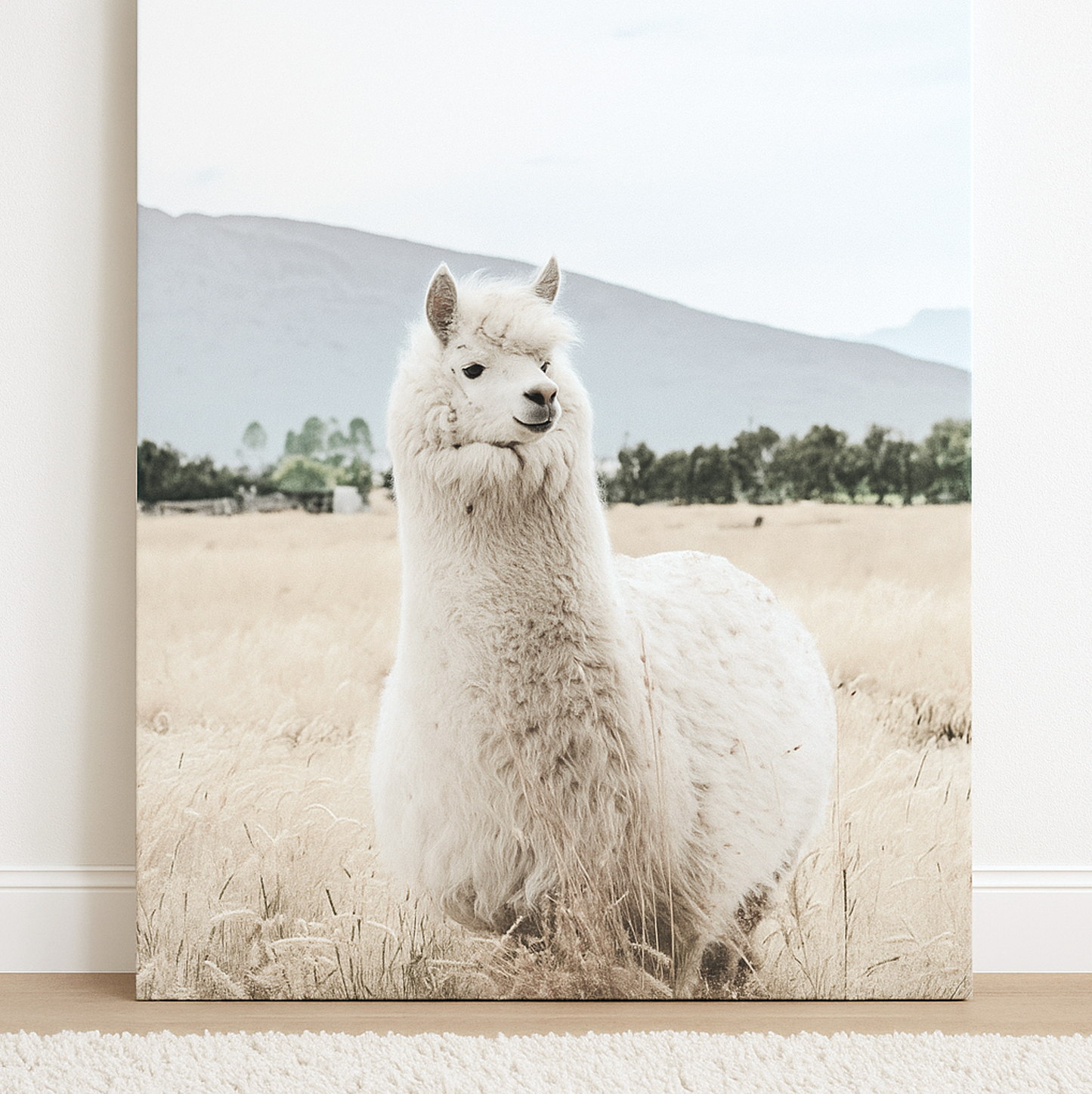 Alpaca Muse- Artwork Hire
