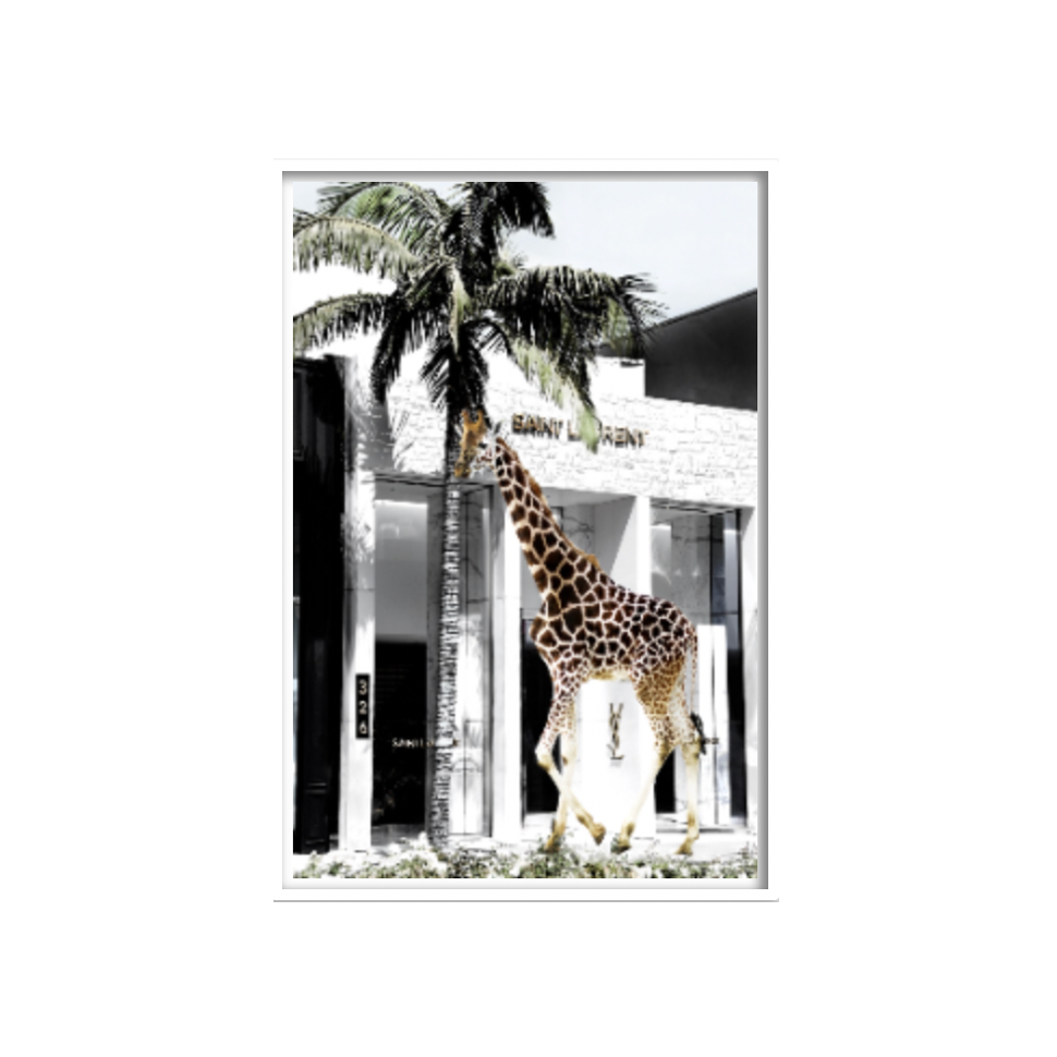 Fashion Animal Artwork