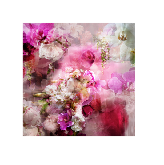 Pink Rendevous fuchsia and cream painterly floral canvas wall art