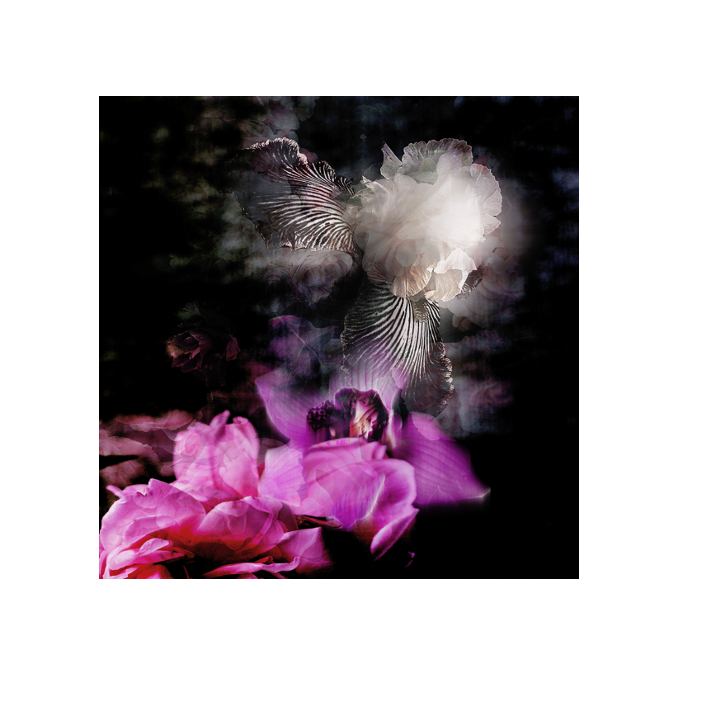 ETHEREAL – premium furniture by Interior Ave