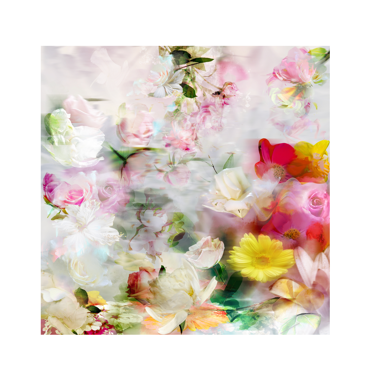 FIELD OF DREAMS 2ND EDITION – premium furniture by Interior Ave