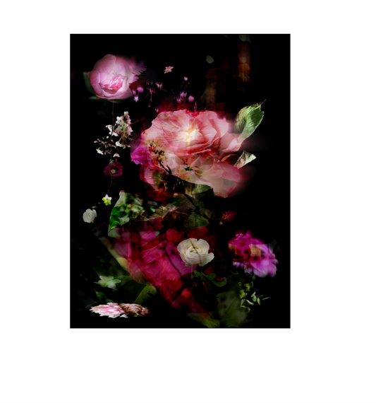 Midnight Dance II blush peonies and white blooms against deep midnight black chiaroscuro wall art