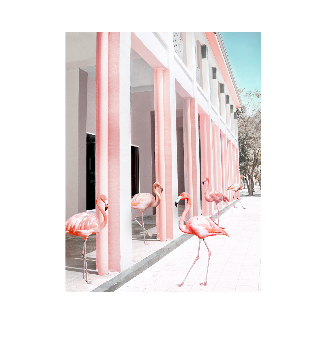 FLAMINGO AFFAIR – premium furniture by Interior Ave