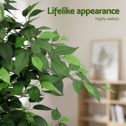180cm Premium Faux Ficus Tree