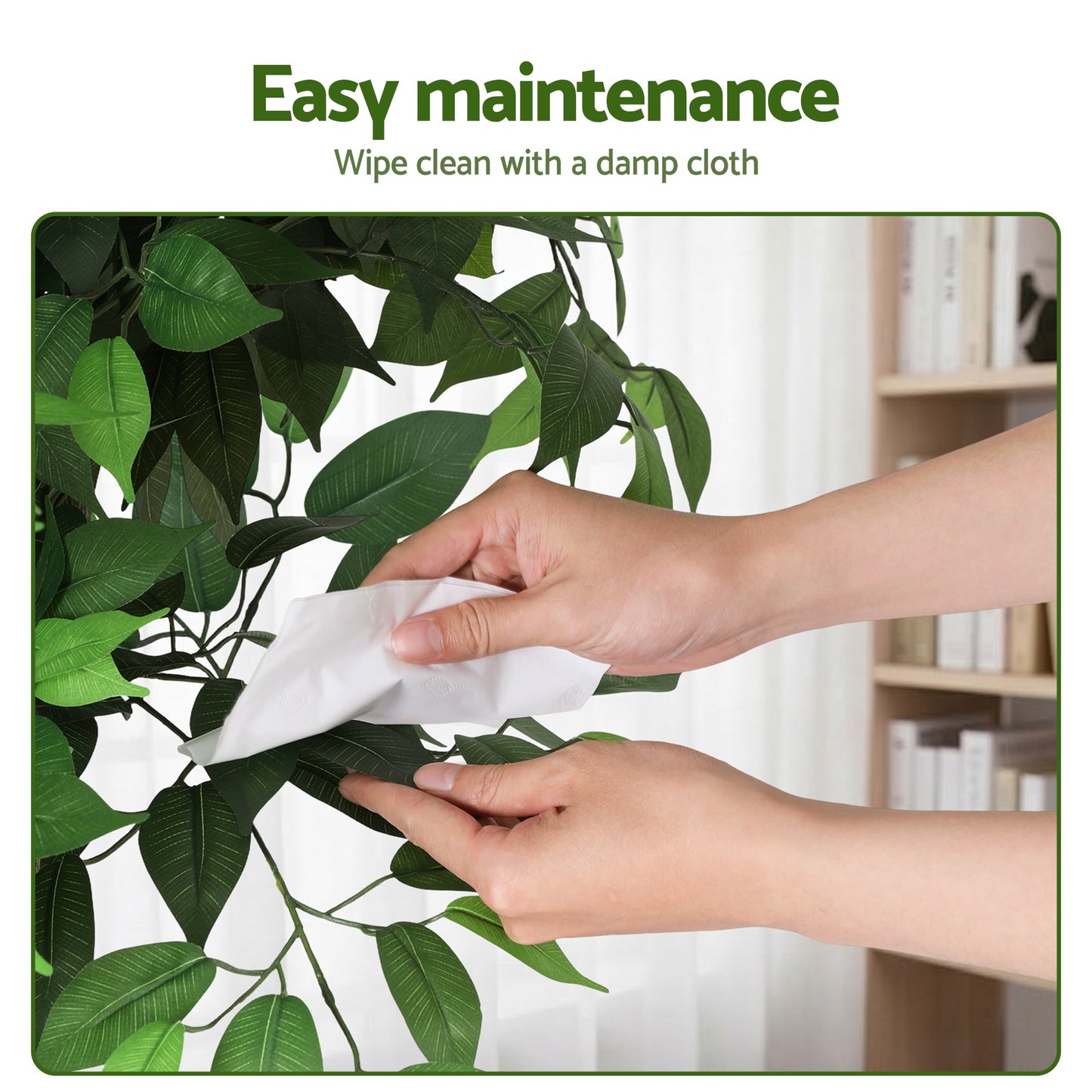 180cm Premium Faux Ficus Tree
