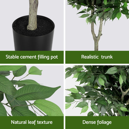 180cm Premium Faux Ficus Tree
