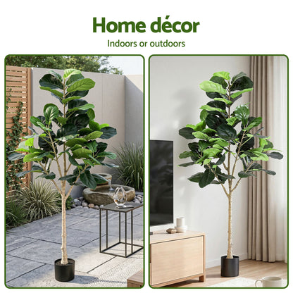 180cm Premium Faux Fiddle Tree