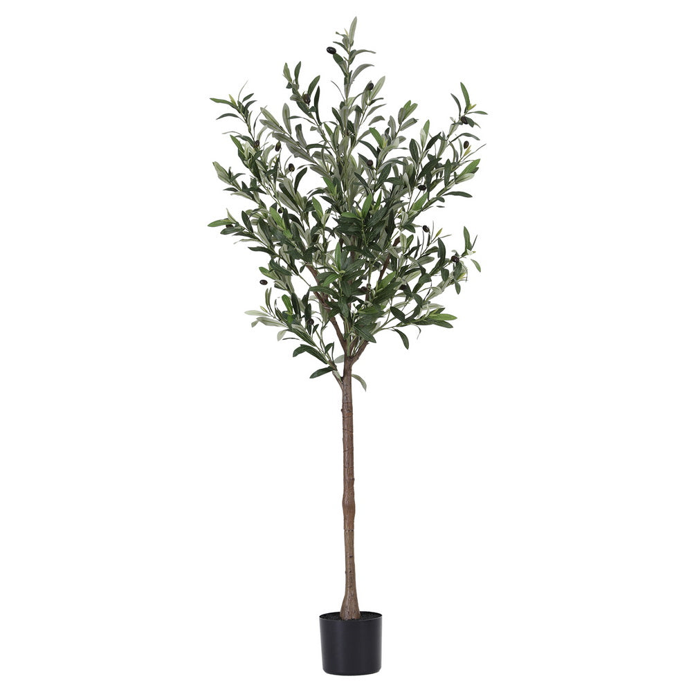 155cm Premium Faux Olive Tree