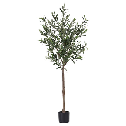 155cm Premium Faux Olive Tree