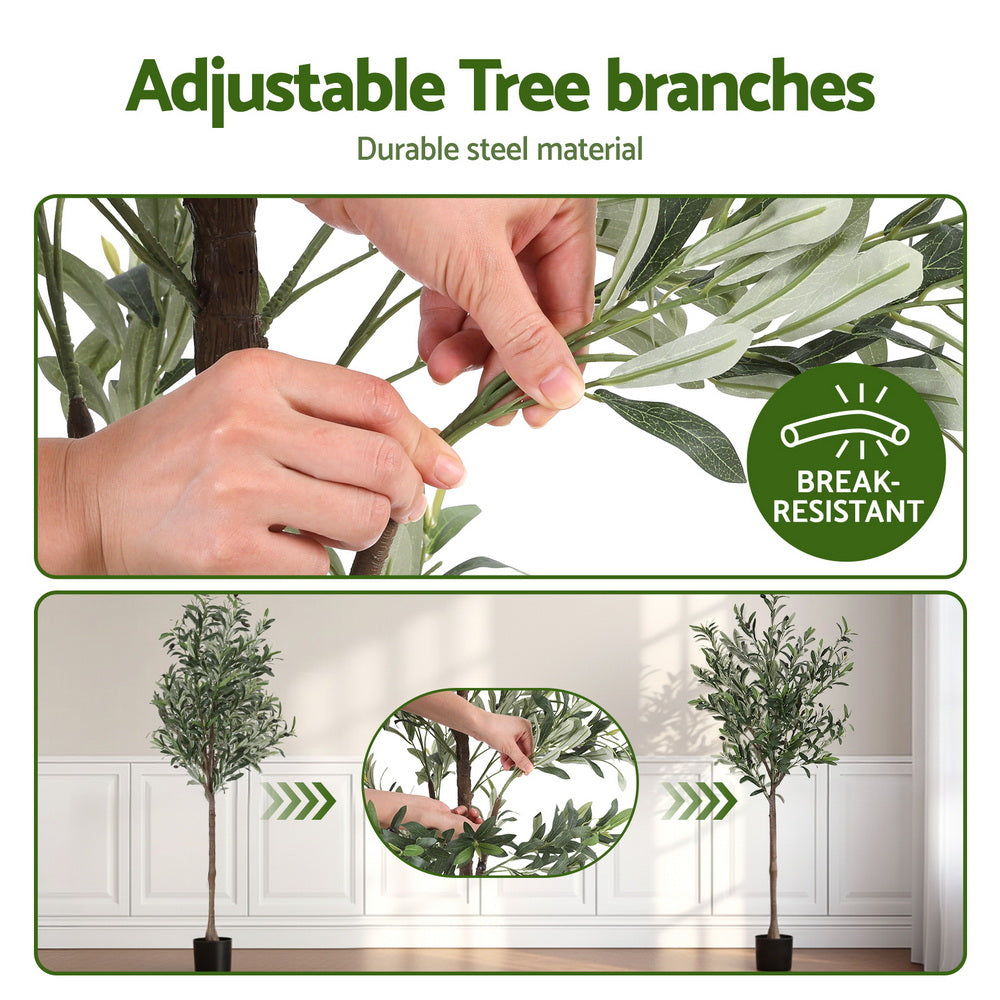 155cm Premium Faux Olive Tree