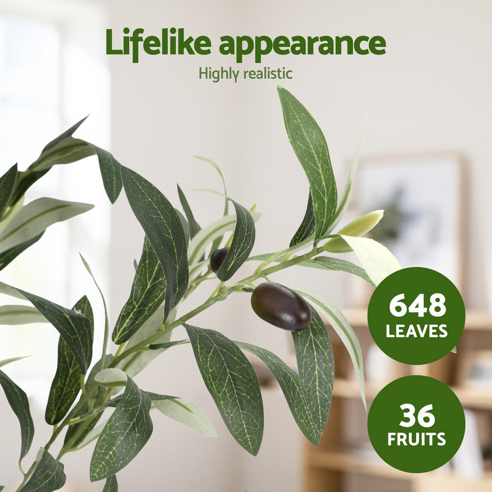 155cm Premium Faux Olive Tree