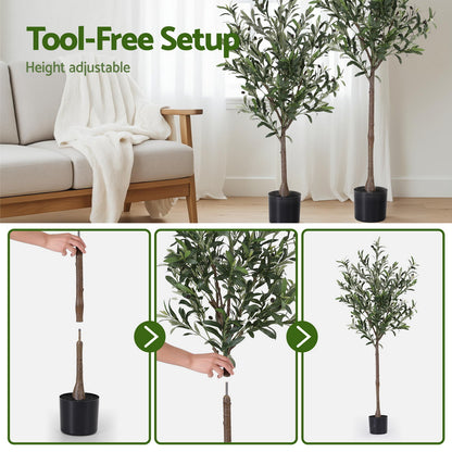 155cm Premium Faux Olive Tree