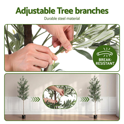 210cm Premium Faux Olive Tree