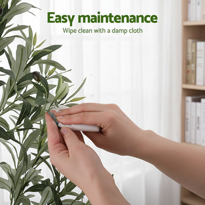 210cm Premium Faux Olive Tree