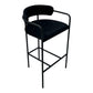 Allegra Bar Stool - Set of Two