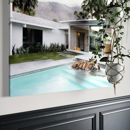 Tiger Springs - Artwork Hire