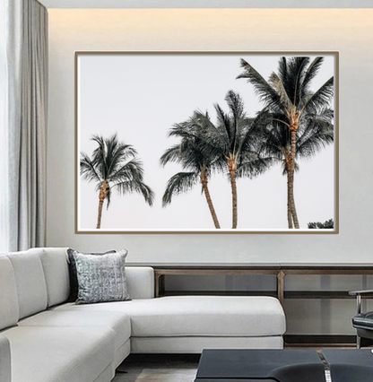 Palm City
