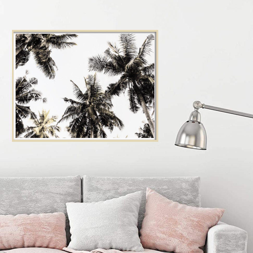 TROPICAL PALMS – Interior ave.