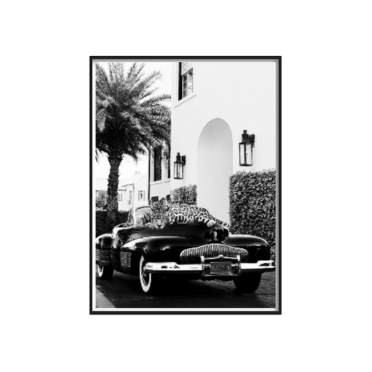 Fashion Animal Artwork