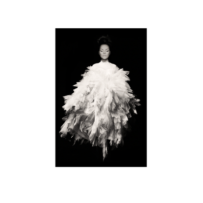 Willow