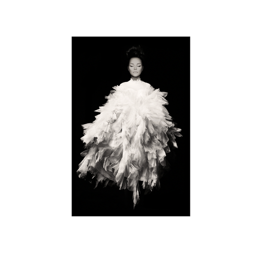 Willow