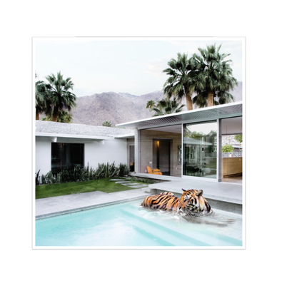 Tiger Springs wall art available as canvas print or floating framed artwork
