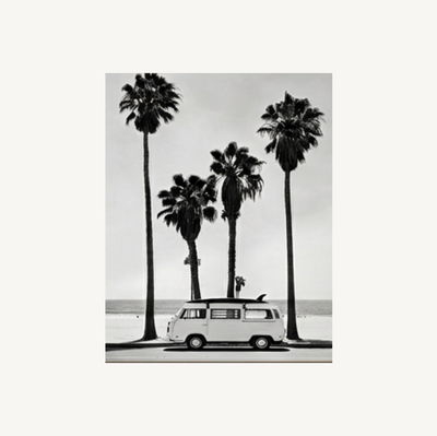 Venice Drive