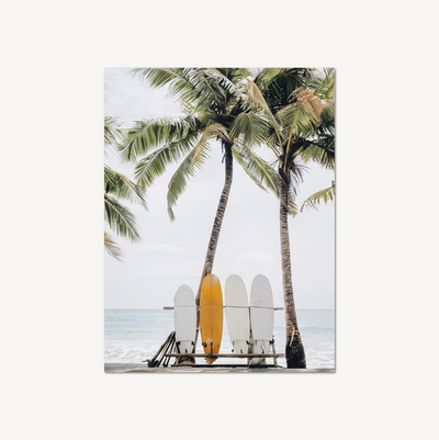 Palm Surf