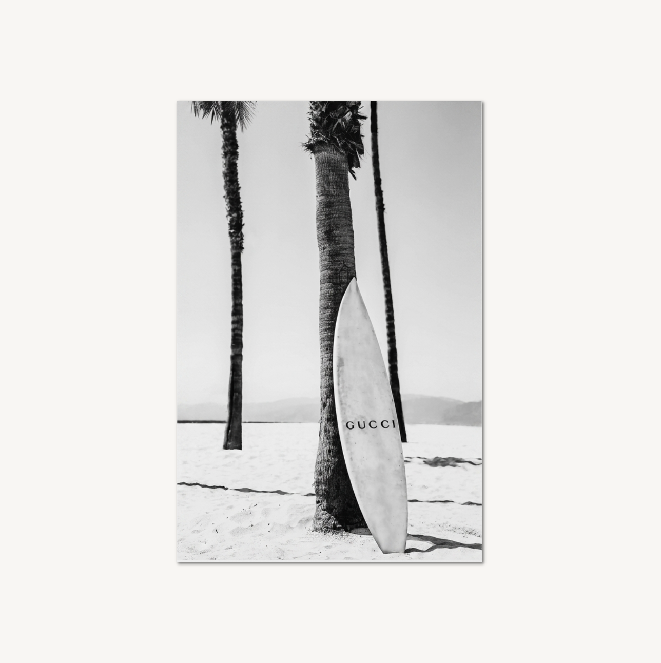 Palm Society