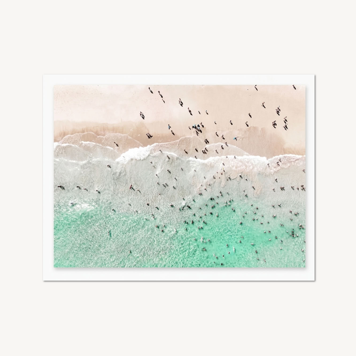Bondi Swim