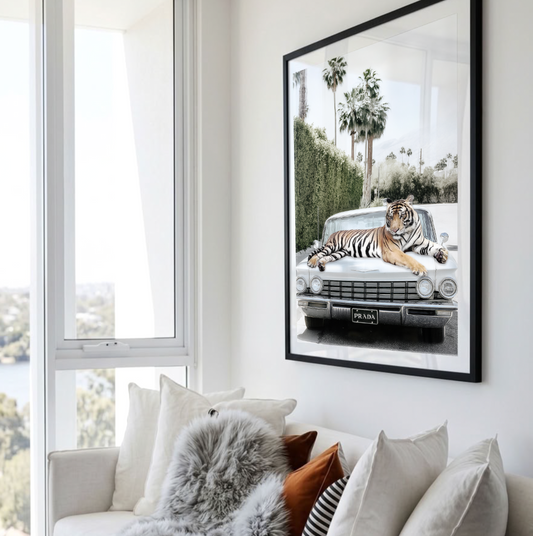 Hollywood Dream