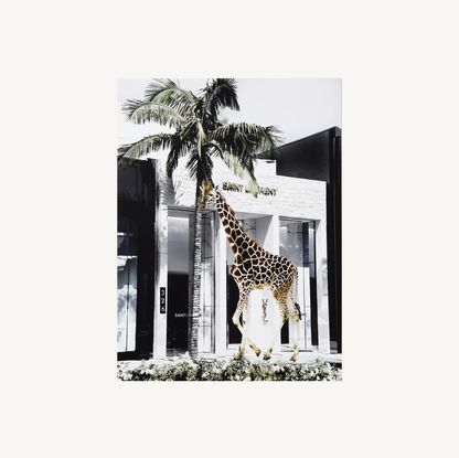 High Rise