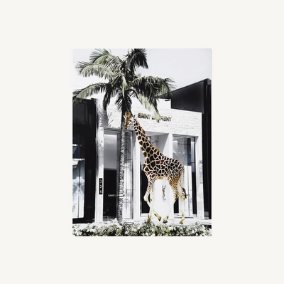 High Rise