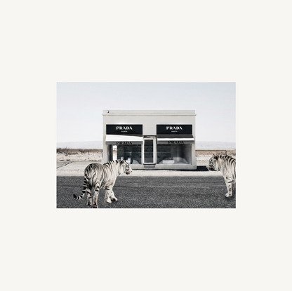 Marfa Shop