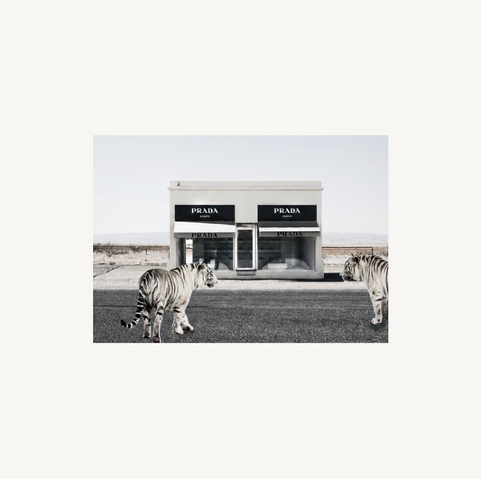 Marfa Shop