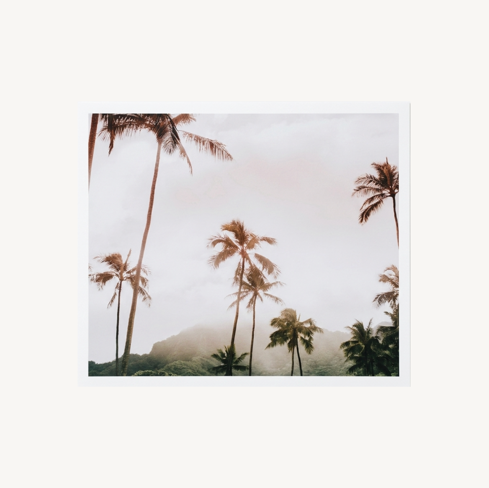 Oasis