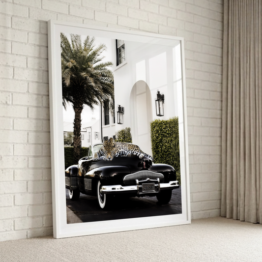 Palatial Classic