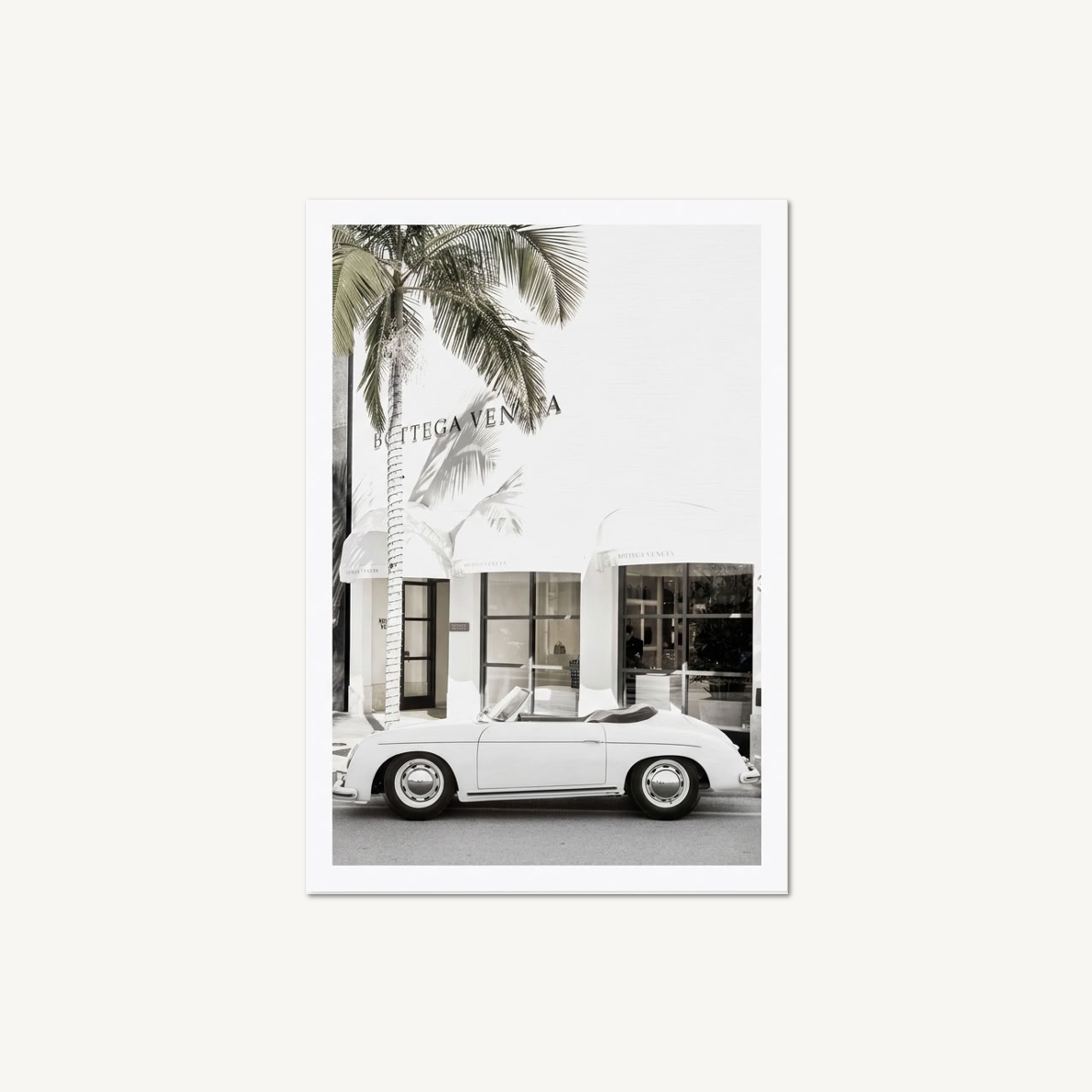 Palm Drive