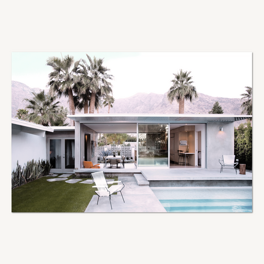 Summer In Palms