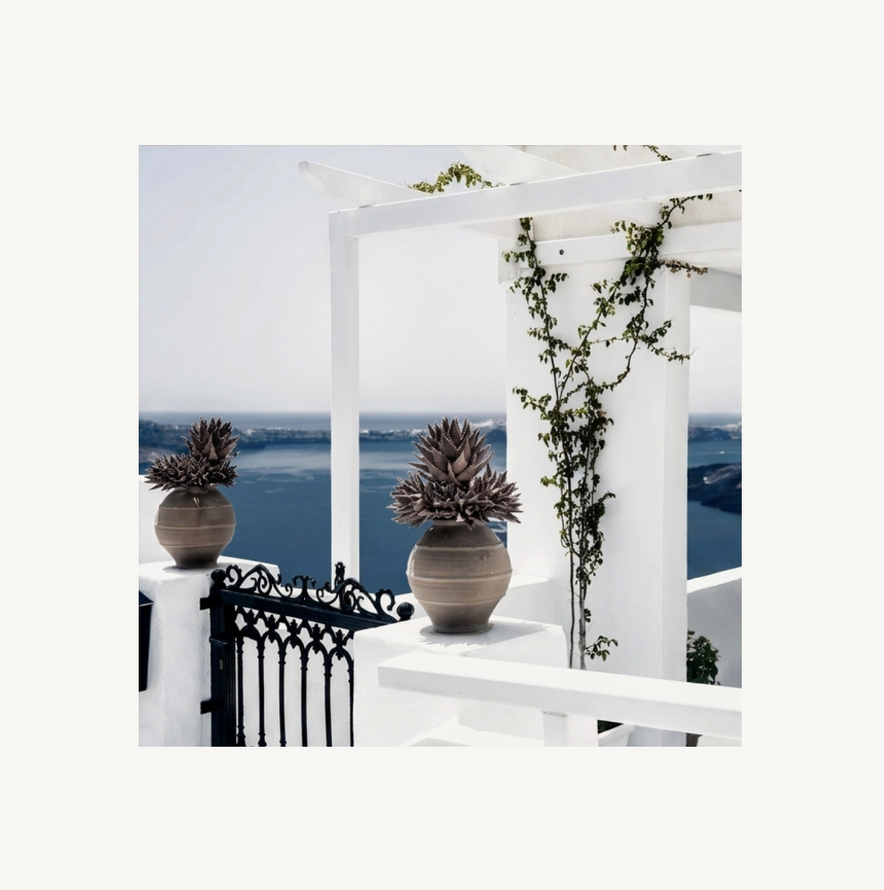 The Terrace