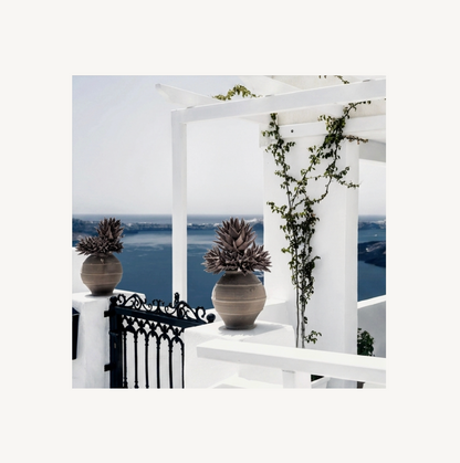 The Terrace