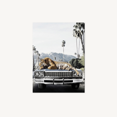 Wild Ride
